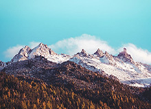 开云体育官网-特谢拉接近加盟上海上港 或是转会特例本周待说明